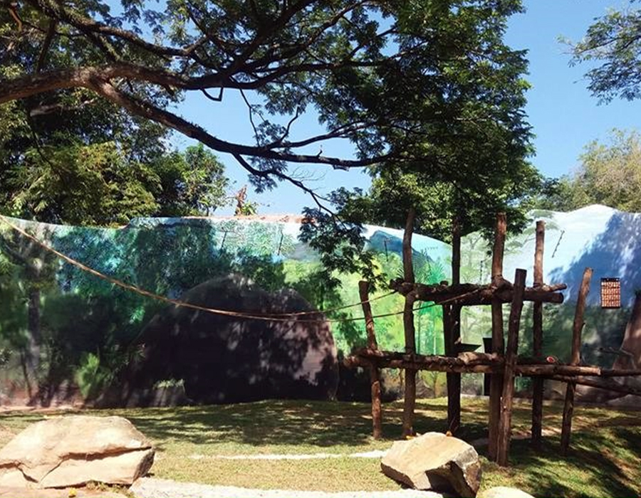 Construction of Chimpanzee Enclosure at National Zoological Gardens at Dehiwala